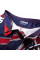 Бойцовские шорты Venum UK Hero Fightshorts
