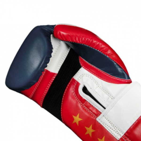 Боксерские перчатки Title Pride Super Bag Gloves