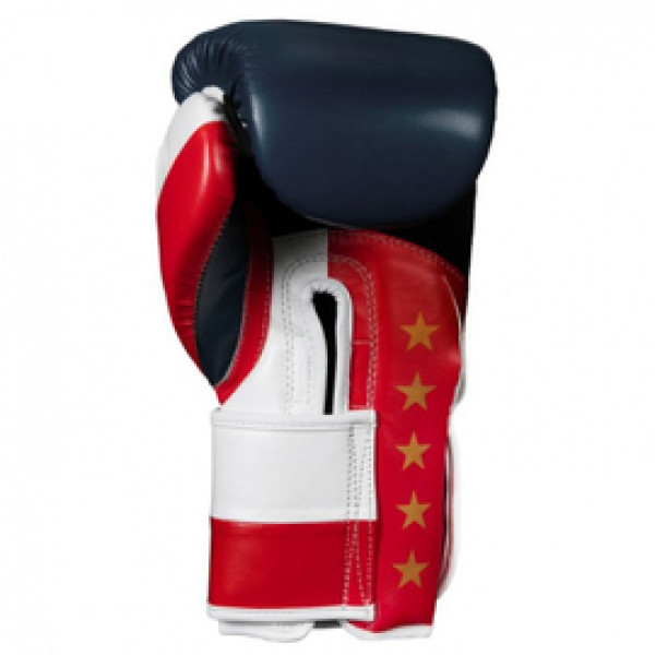 Боксерские перчатки Title Pride Super Bag Gloves