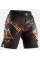 Шорты для ММА Peresvit Odin Blessing MMA Fight Shorts