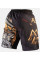 Шорты для ММА Peresvit Odin Blessing MMA Fight Shorts