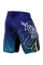 Шорты Venum Carioca 4.0 Fightshorts Navy Blue