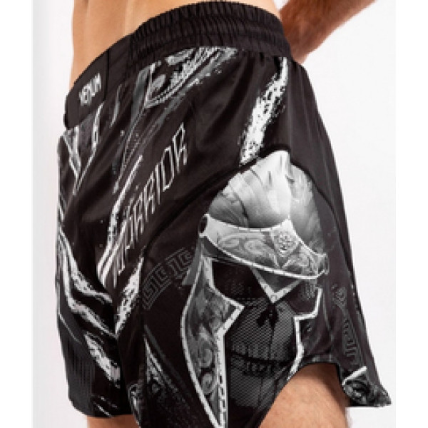 Шорты для MMA Venum GLDTR 4.0 Fightshorts