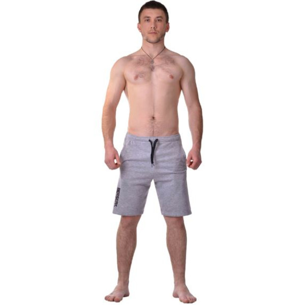 Шорты BERSERK SPEED TRAINING grey