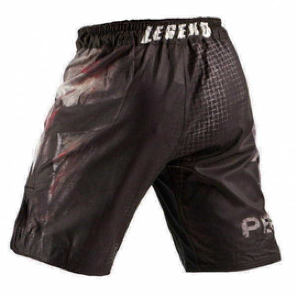 Шорты Peresvit Legend Fightshorts Last Stand