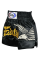 Шорты для тайского бокса Fairtex BS0657 Eagle Black
