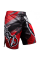 Шорты Hayabusa Chikara 3.0 Fight Shorts Red