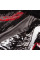 Шорты для MMA Venum Grizzli Fightshorts Black