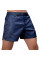 Шорты для MMA Hayabusa Hex Mid-Length Fight Shorts Navy