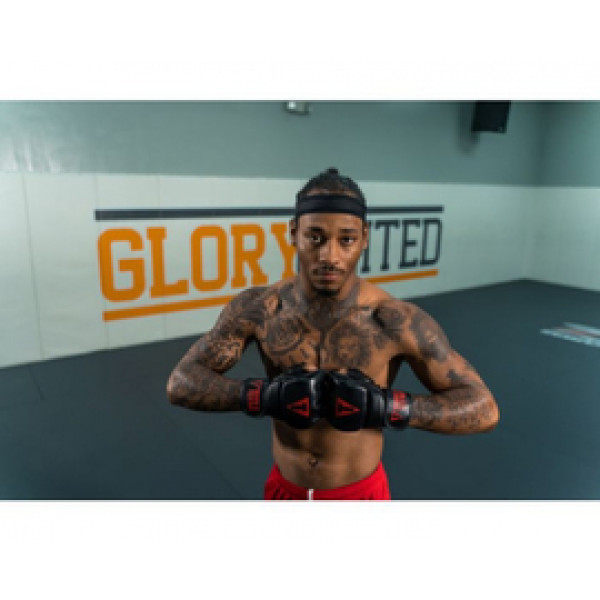 Перчатки Titile MMA Pro Training Gloves Black Black