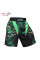 Шорты для MMA Green Viper Venum Replica