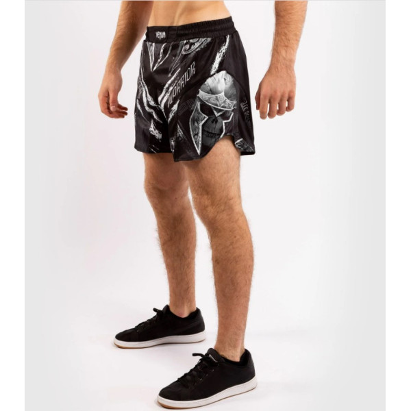 Шорты для MMA Venum GLDTR 4.0 Fightshorts