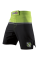 Шорты Hayabusa Sport Training Shorts Green