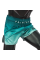 Шорты для тайского бокса Fairtex BS1906 Green Fade