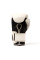 Боксерські рукавиці Everlast Powerlock 2R Training Gloves Hook and Loop White