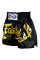 Шорти для тайського боксу Fairtex BS0646
