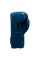 Боксерські рукавиці Title Boxing Inferno Intensity Elastic Training Gloves Blue White