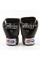 Боксерські рукавиці Fairtex BGV1 Universal Muay Thai/Boxing Gloves Black