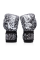 Боксерські рукавиці Fairtex BGV14PT Painter Boxing Gloves Black White