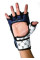 Рукавиці Fairtex Super Sparring Gloves