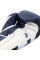 Боксерські рукавиці Venum Elite Boxing Gloves Blue White