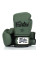 Боксерські рукавиці Fairtex F-Day BGV11 Limited Edition Boxing Gloves