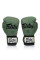Боксерські рукавиці Fairtex F-Day BGV11 Limited Edition Boxing Gloves