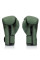 Боксерські рукавиці Fairtex F-Day BGV11 Limited Edition Boxing Gloves