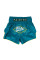 Тайські шорти Fairtex BS1907 Focus Green