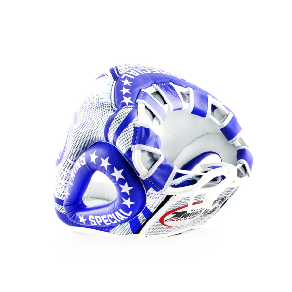 Боксерський шолом Twins Fancy FHGL3-TW5 White-Blue