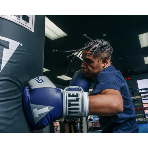 Снарядні рукавиці Title Boxing Gel World V2T Bag Gloves Navy Grey White