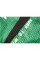 Шорти Peresvit Immortal Fightshorts Green Lantern