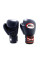 Боксерські рукавиці Twins Velcro BGVL3 Navy