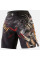 Шорти для ММА Peresvit Odin Blessing MMA Fight Shorts