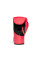 Боксерські рукавиці Everlast Elite 2 Boxing Glove Red