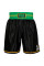 Боксерські шорти WBC by TITLE Boxing Professional Boxing Trunks Black Green