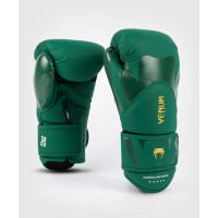 Боксерські рукавиці Venum Challenger 4.0 Boxing Gloves - Army Green