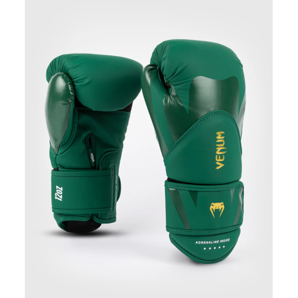 Боксерські рукавиці Venum Challenger 4.0 Boxing Gloves - Army Green