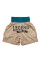 Боксерські шорти Fairtex BT2010 Boxing Trunks Vintage