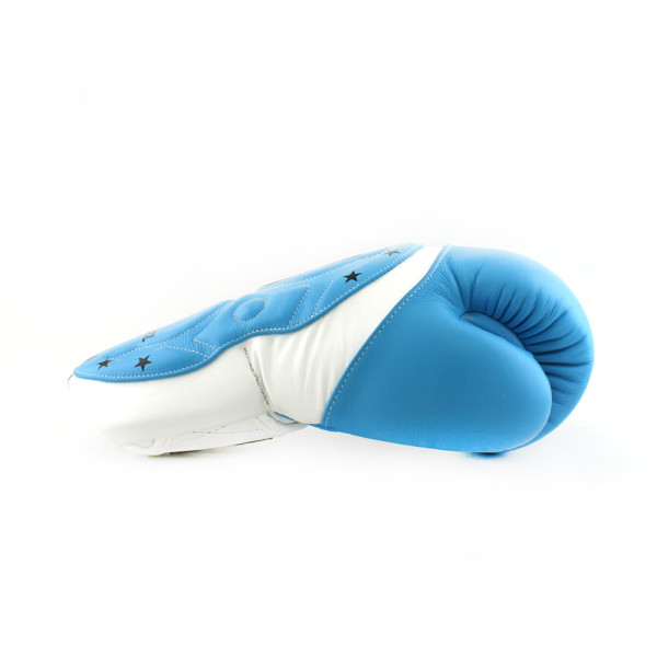Боксерські рукавиці Twins Velcro Extra Design BGVL6-MK White Lightblue