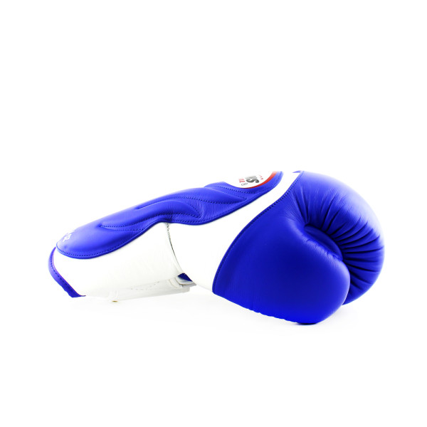 Боксерські рукавиці Twins Velcro Extra Design BGVL6 White Blue