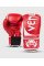 Боксерські рукавиці Venum Challenger 2.0 Boxing Gloves Red