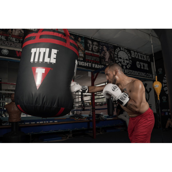Боксерські рукавиці Pro Mex Professional Training Gloves 3.0 White