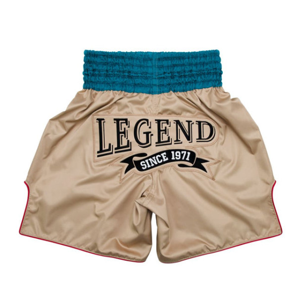 Боксерські шорти Fairtex BT2010 Boxing Trunks Vintage