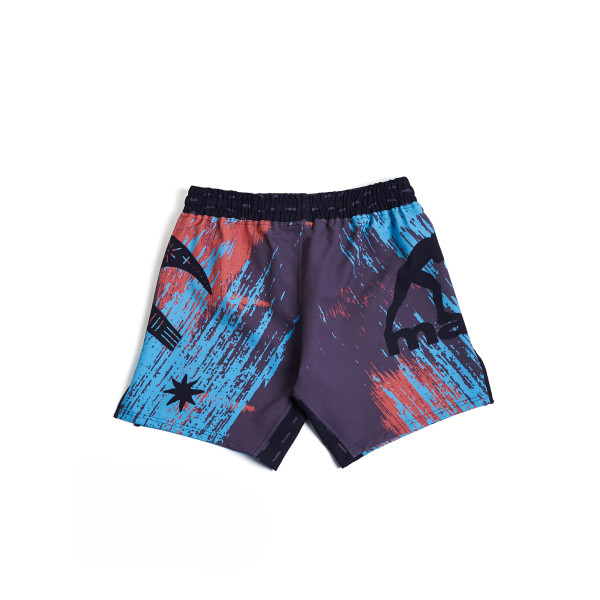 Шорти для MMA MANTO Livings Multicolor