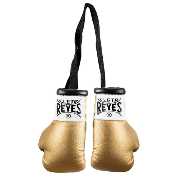 Сувенірні рукавиці Cleto Reyes Minigloves Synthetic