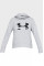 Жіноче худі Under Armour Rival Fleece Logo Gray