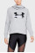 Жіноче худі Under Armour Rival Fleece Logo Gray