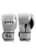 Боксерські рукавиці Pro Mex Professional Training Gloves 3.0 Silver