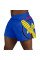 Шорти Hayabusa Icon Kickboxing Shorts Blue Yellow